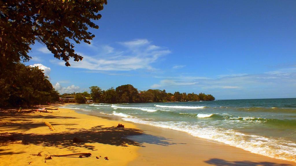 Cabinas Caribe Luna Lodge *