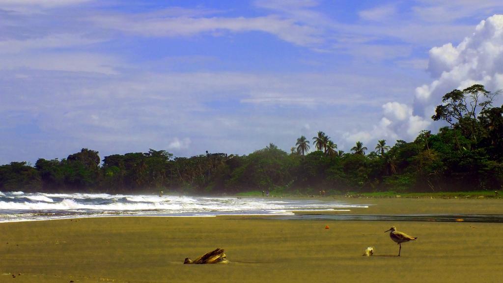 Lodge Cabinas Caribe Luna Cahuita