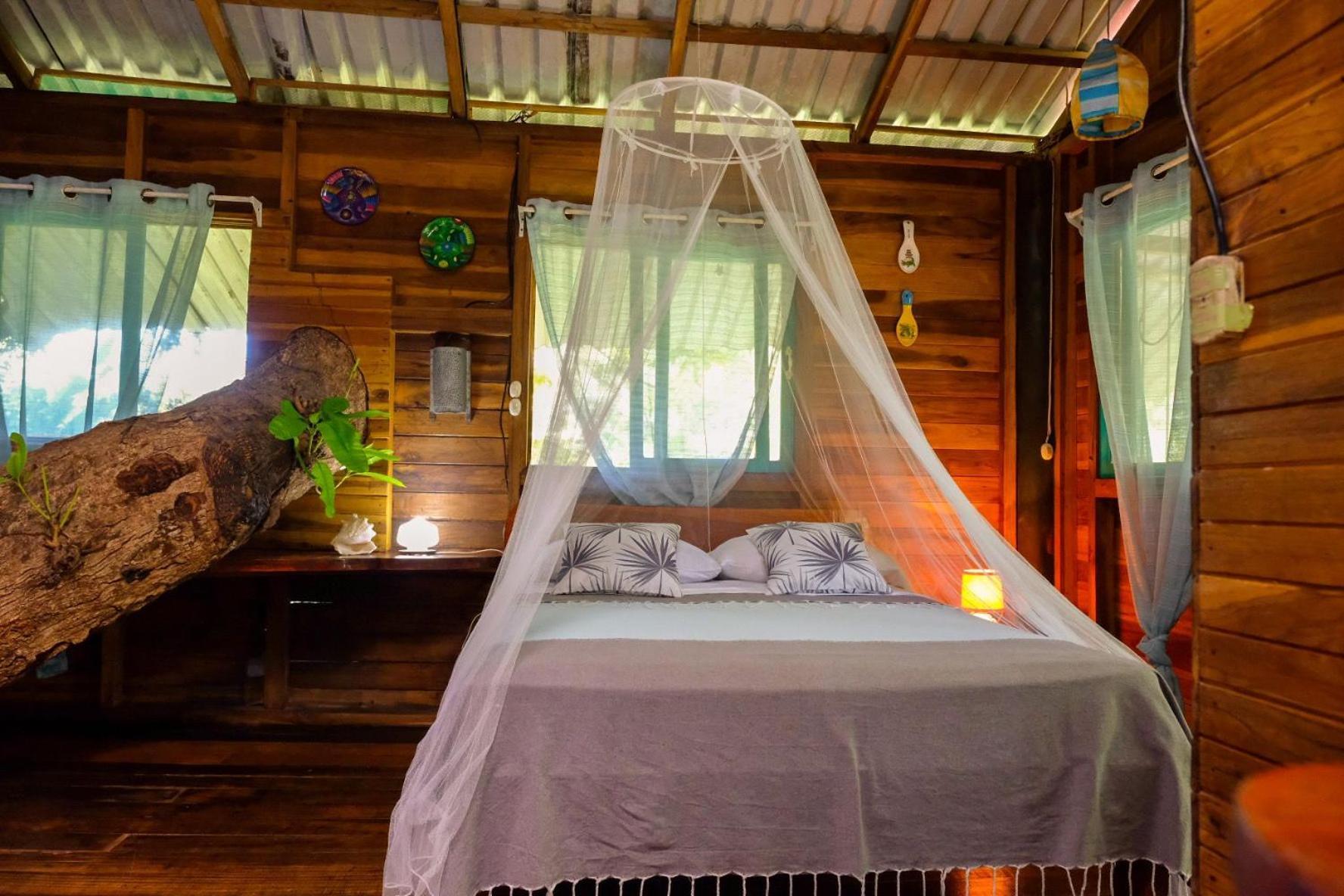Playa Grande & Tree House *