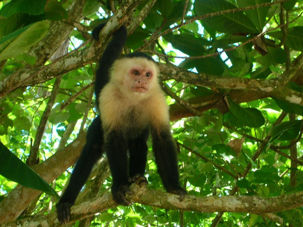 Tierra De Suenos & Wellness Center Lodge