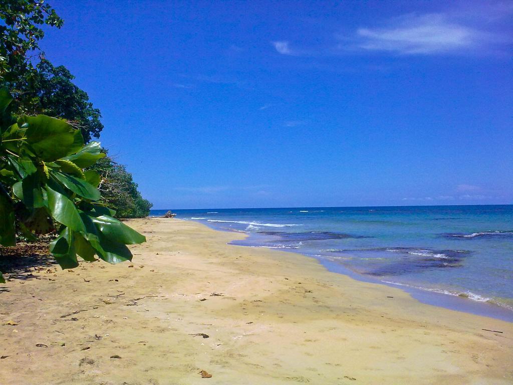 Tierra De Suenos & Wellness Center