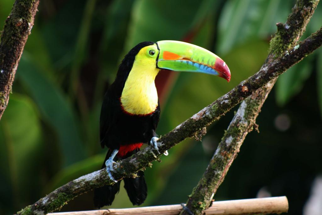 Tierra De Suenos & Wellness Center Lodge *
