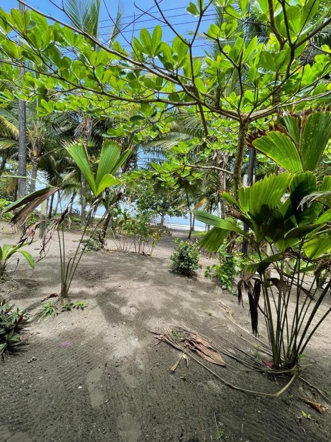 Guest house Casa Turtle Bogue *