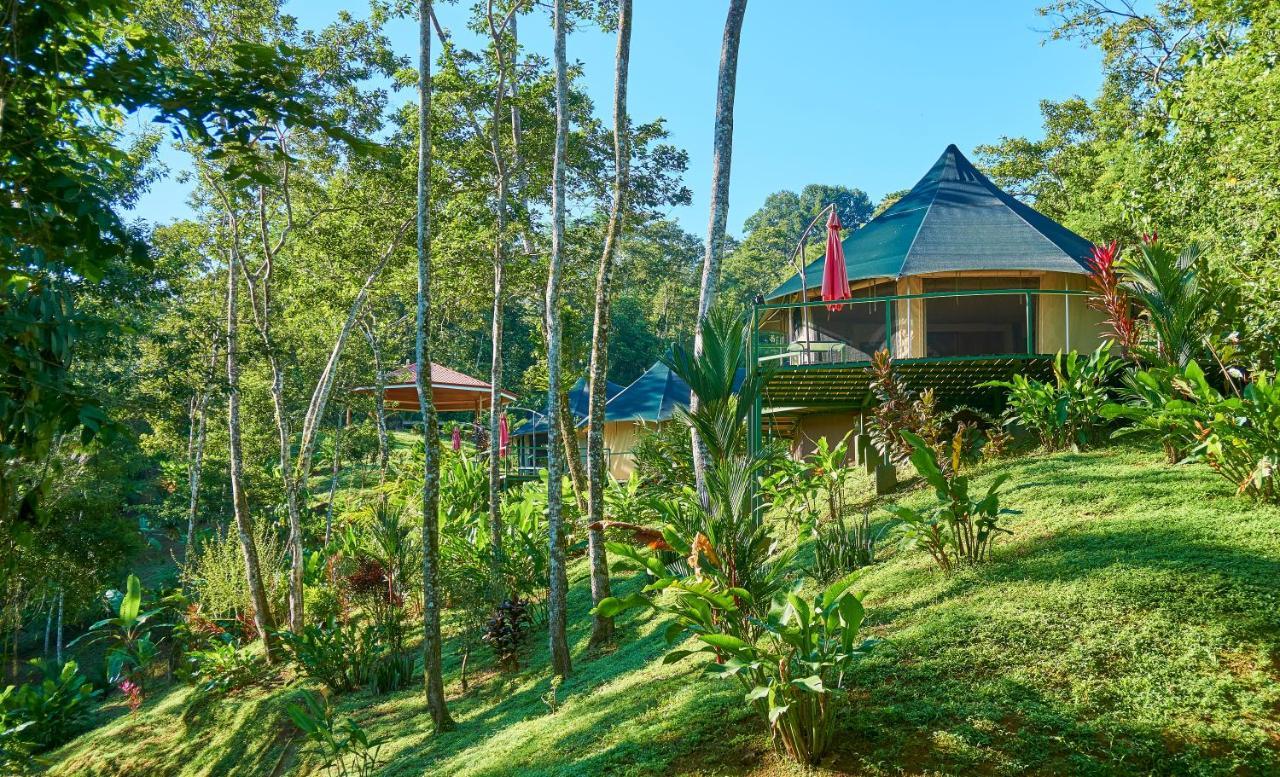 Manoas Luxury Camping And Rentals Uvita