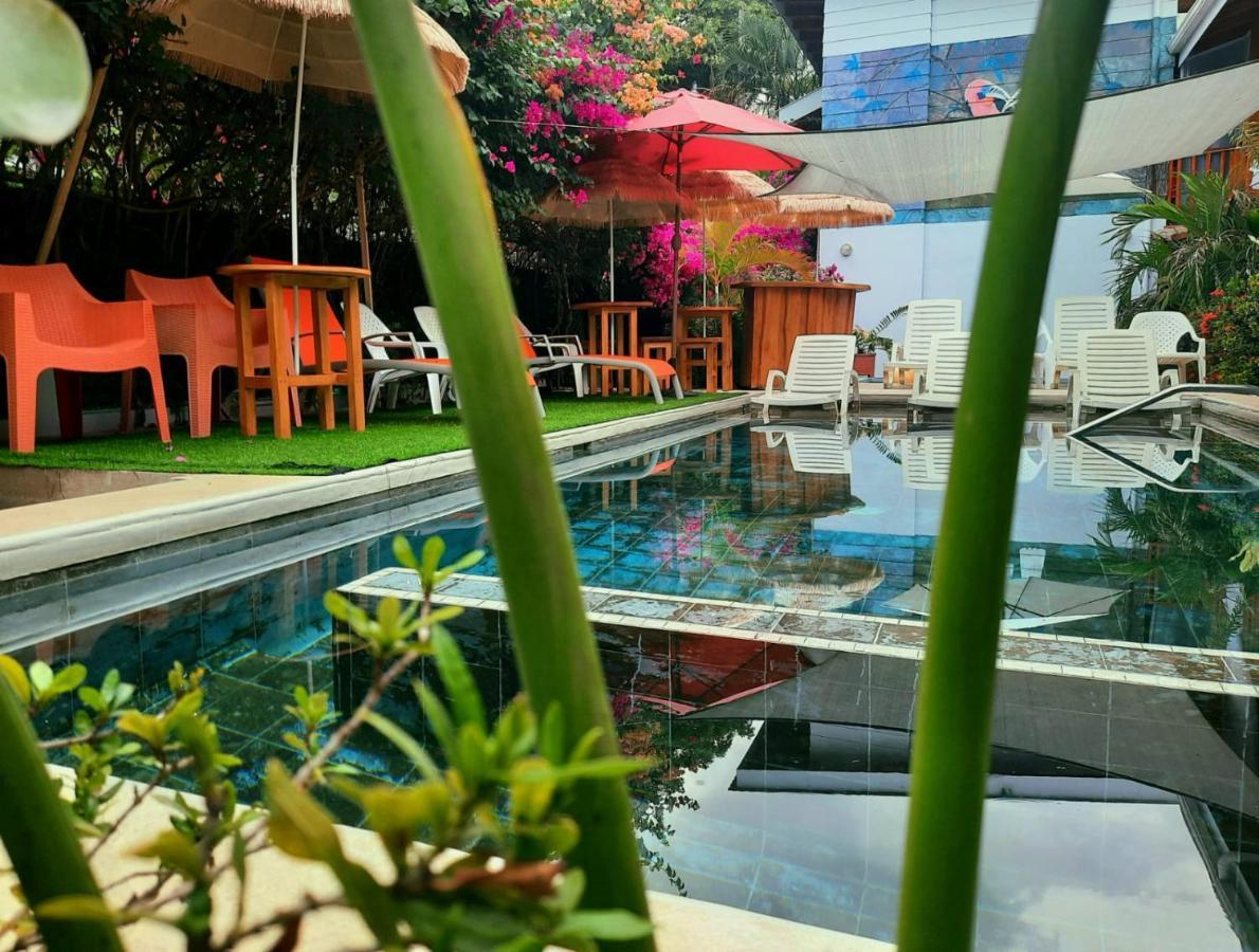 Hotel Bellavista By Verdes - Beach