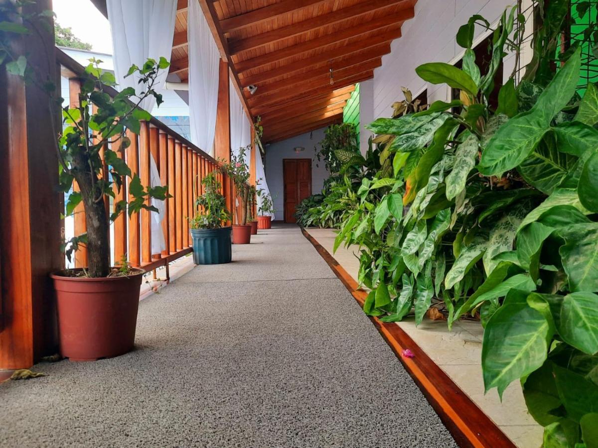 Hotel Bellavista By Verdes - Beach 3*