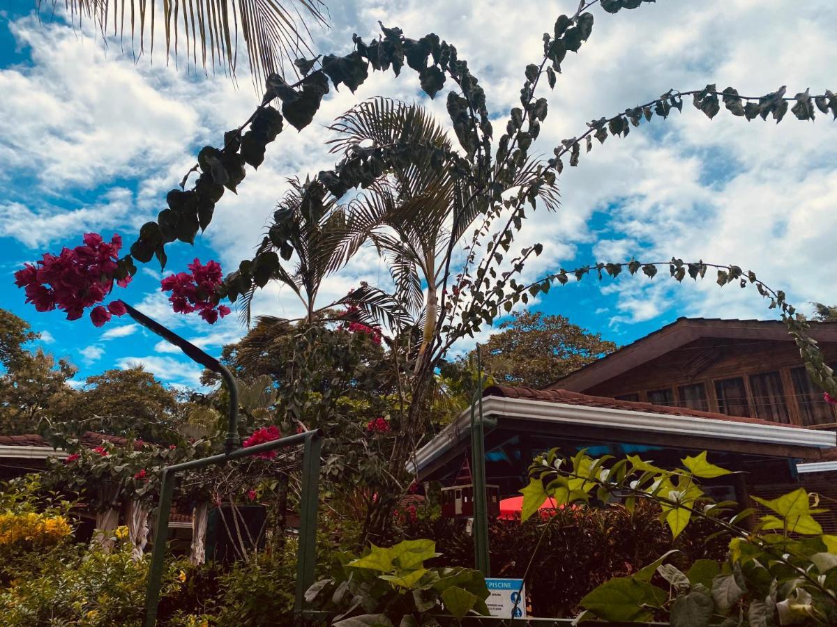 Casa Aba Matapalo Guest house