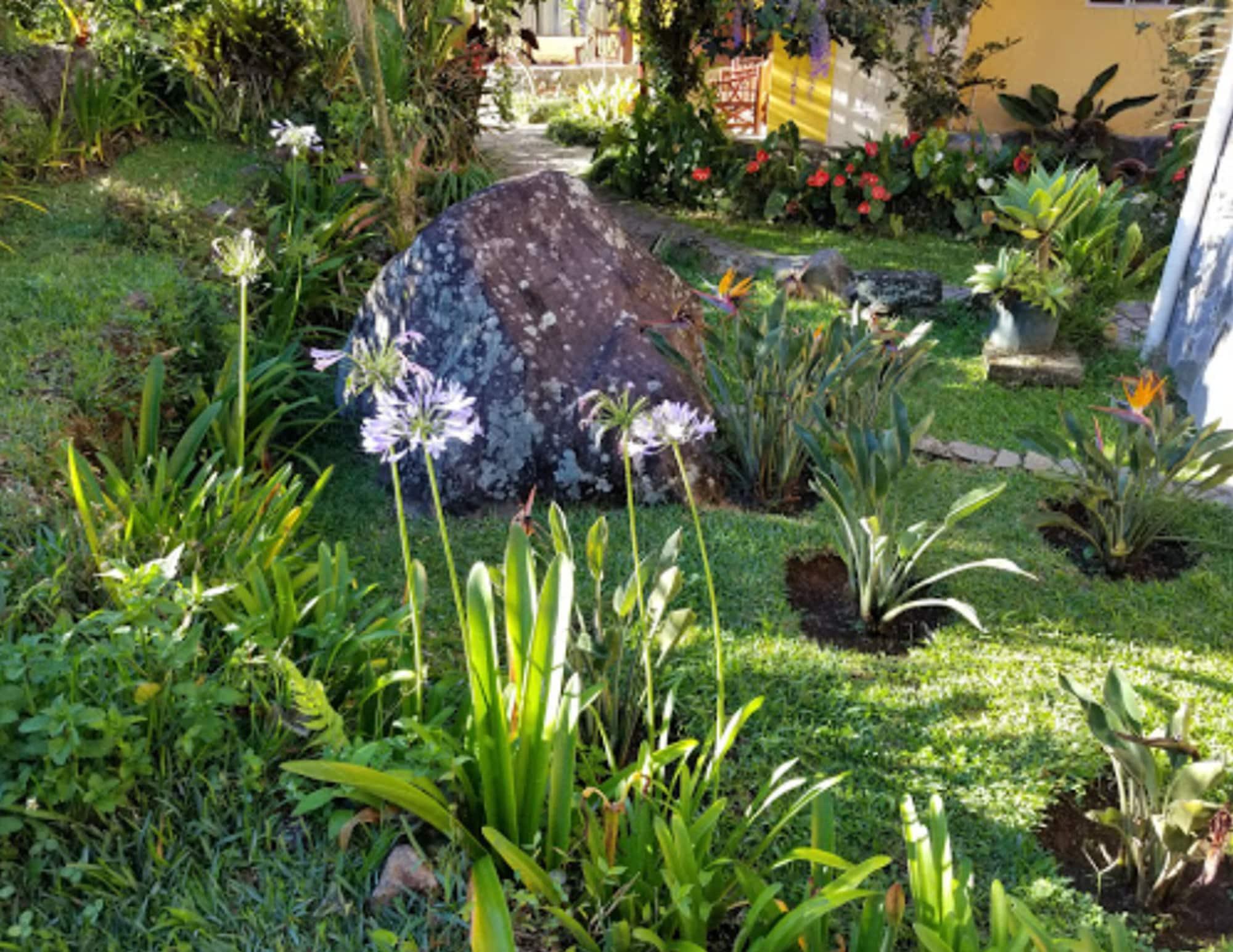 Guayabo