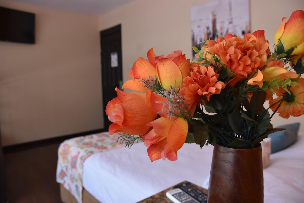 Hostel Casa Colon