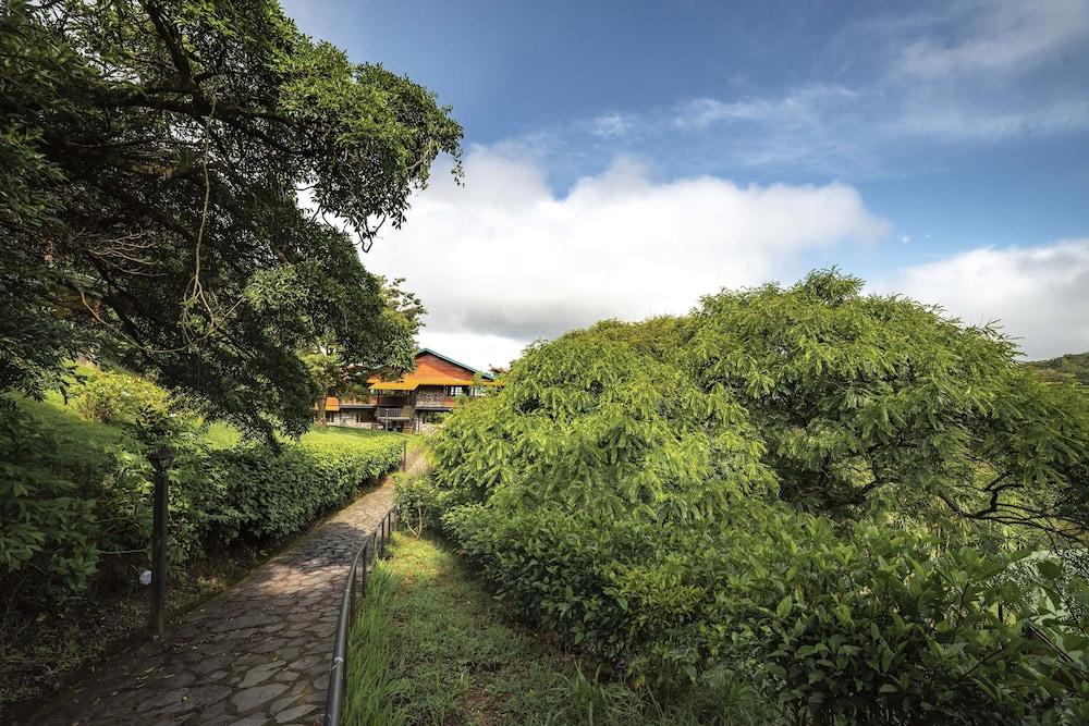 Heliconia - Hotel 4*