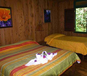Lodge Trogon *