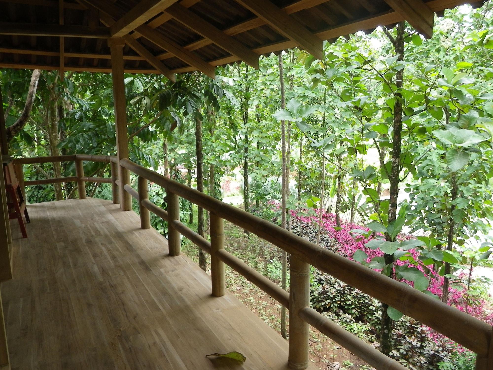 Lodge Macaw