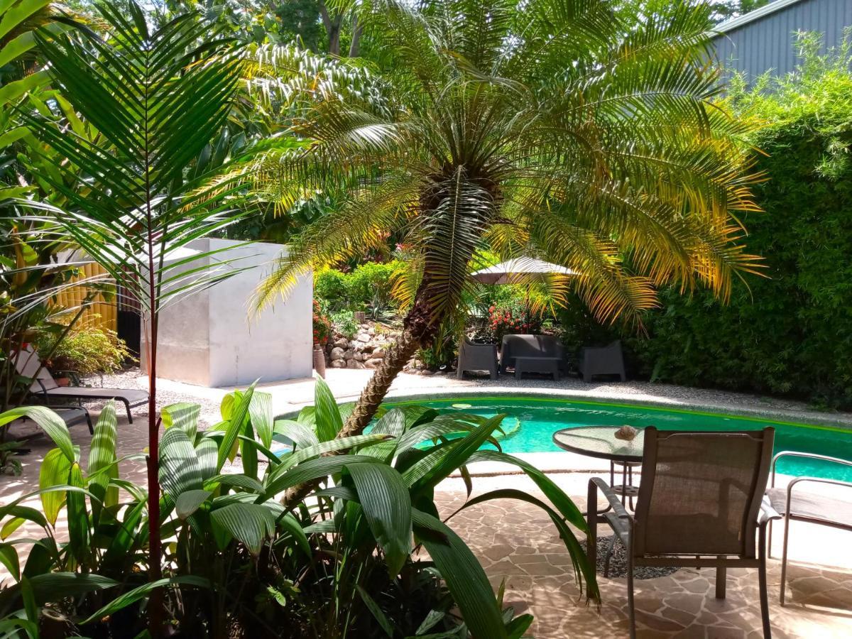 Luz De Luna Bahia Ballena Hotel