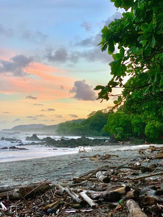 Sunshine Sanctuary Boutique Jungle * Montezuma