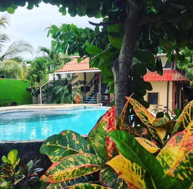 Cabinas Flamingo Guest house Playa Flamingo