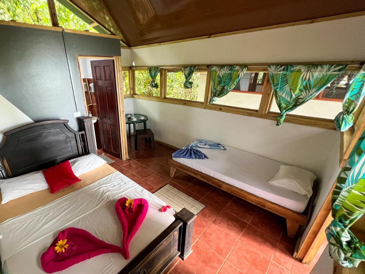 Corcovado Adventures Hostel