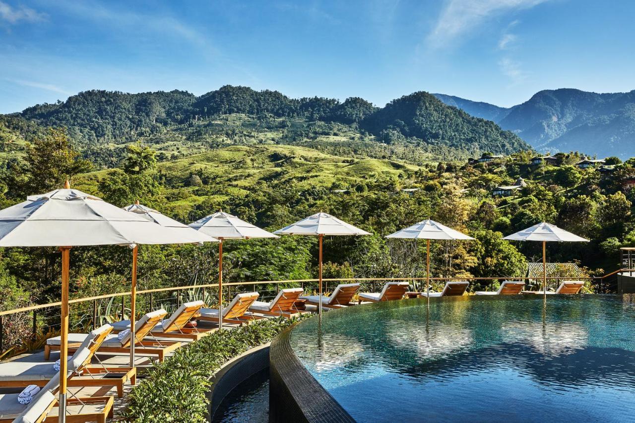 Resort Hacienda Altagracia, Collection