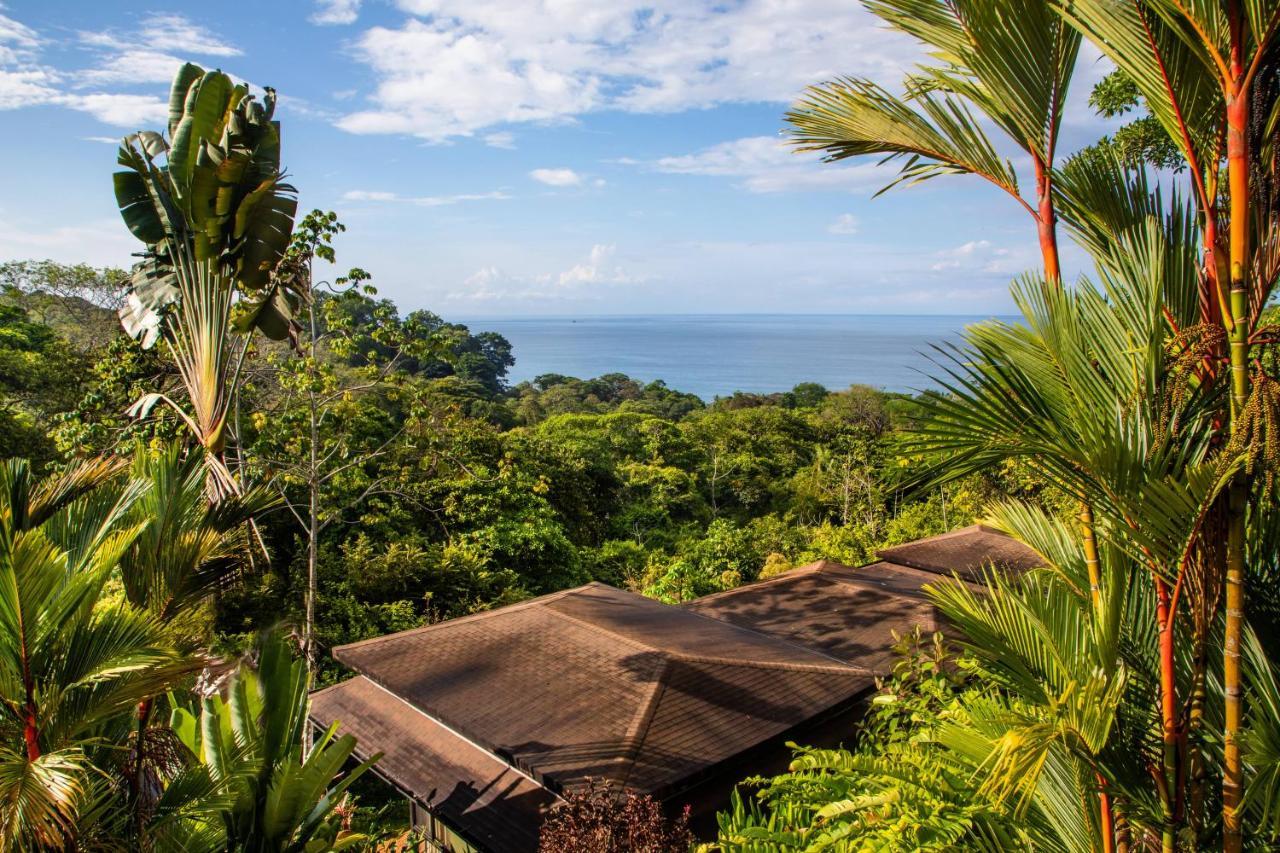 Tiki Rainforest - Adults Only *