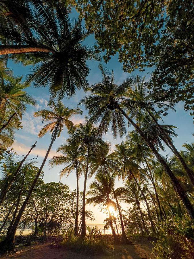 Tropical