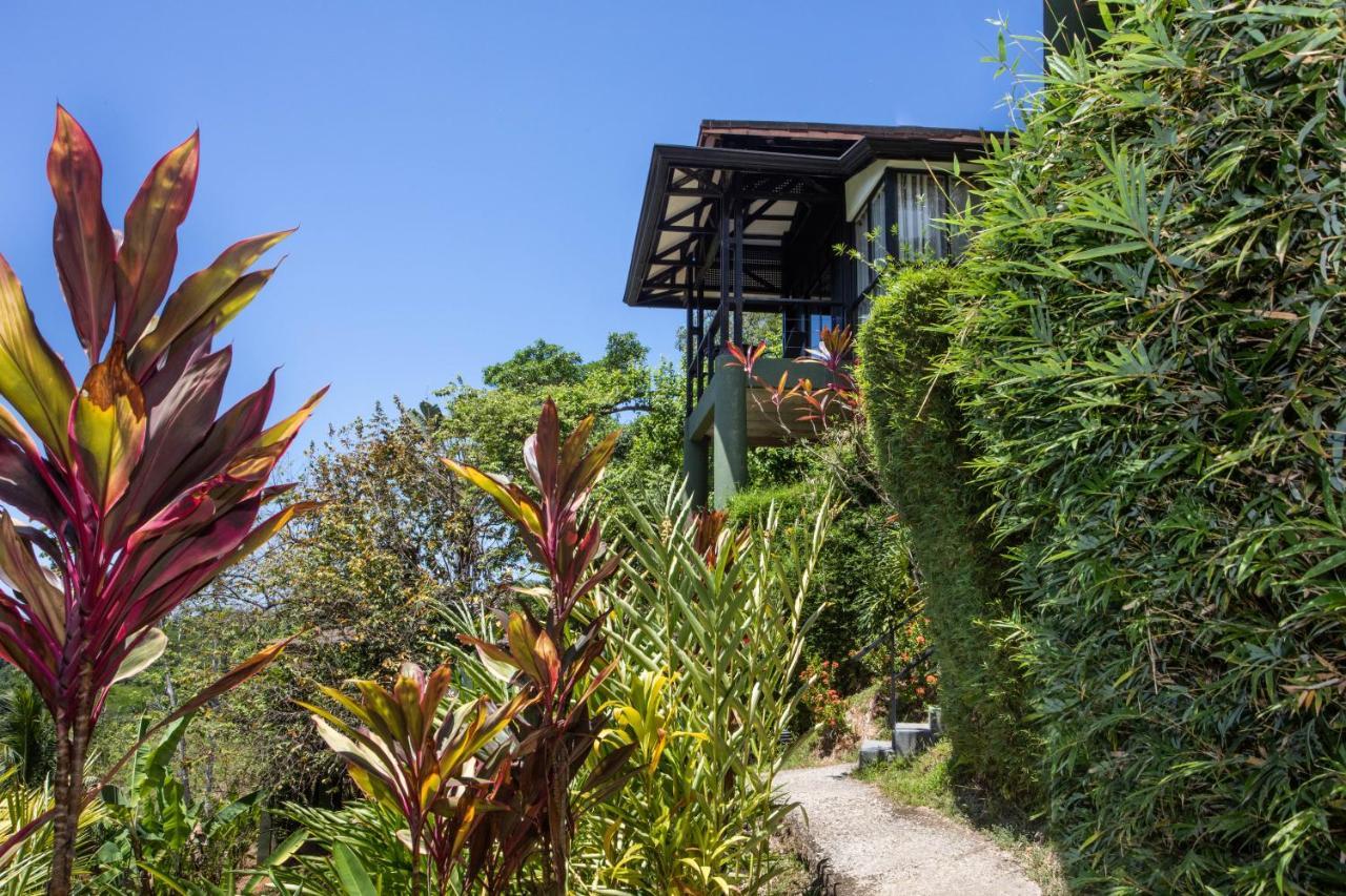 Tiki Rainforest - Adults Only Hotel