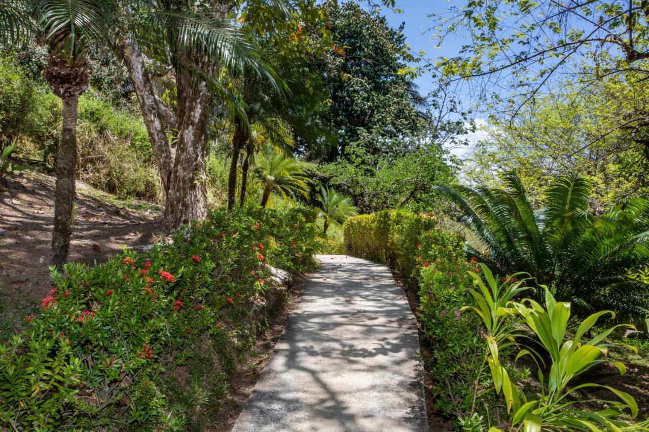 Tiki Rainforest - Adults Only Uvita
