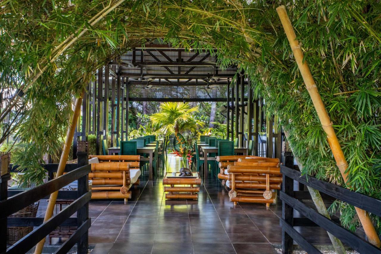 Tiki Rainforest - Adults Only *
