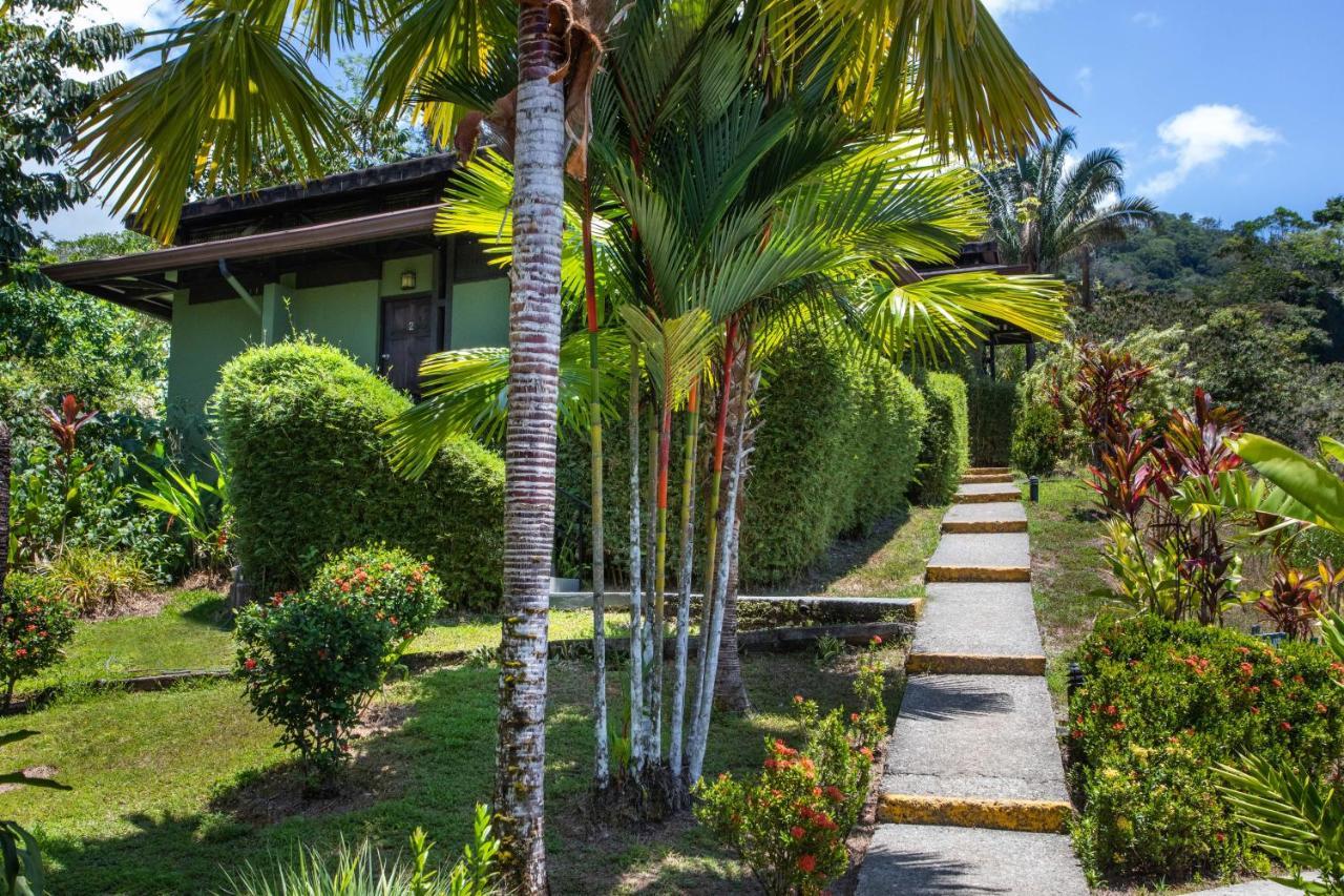 Hotel Tiki Rainforest - Adults Only Uvita