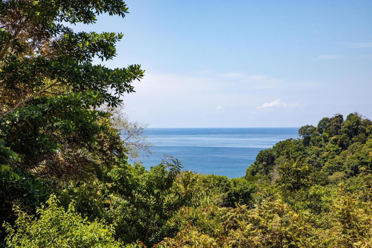 Tiki Rainforest - Adults Only Uvita