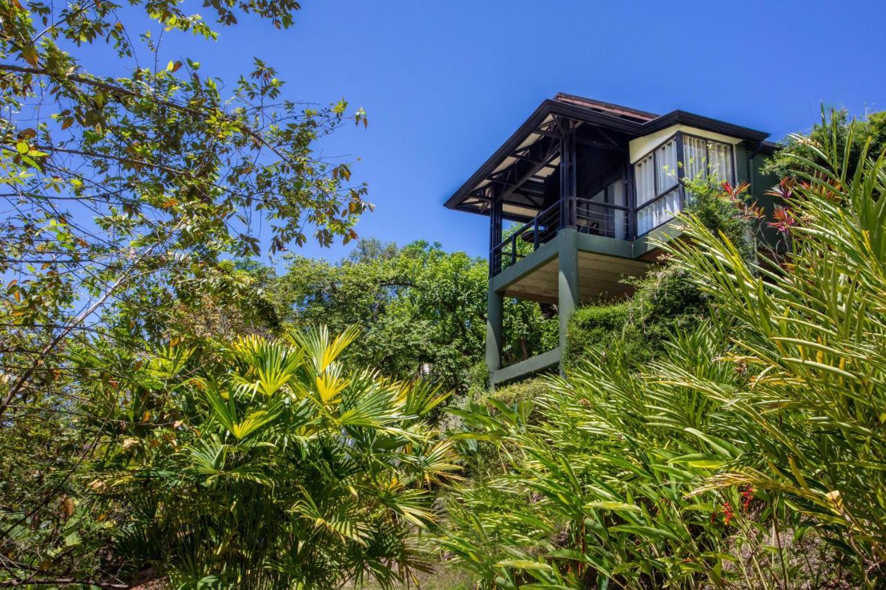 Tiki Rainforest - Adults Only Hotel