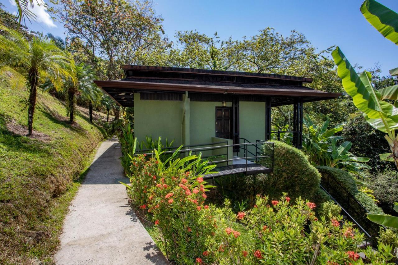Hotel Tiki Rainforest - Adults Only Uvita