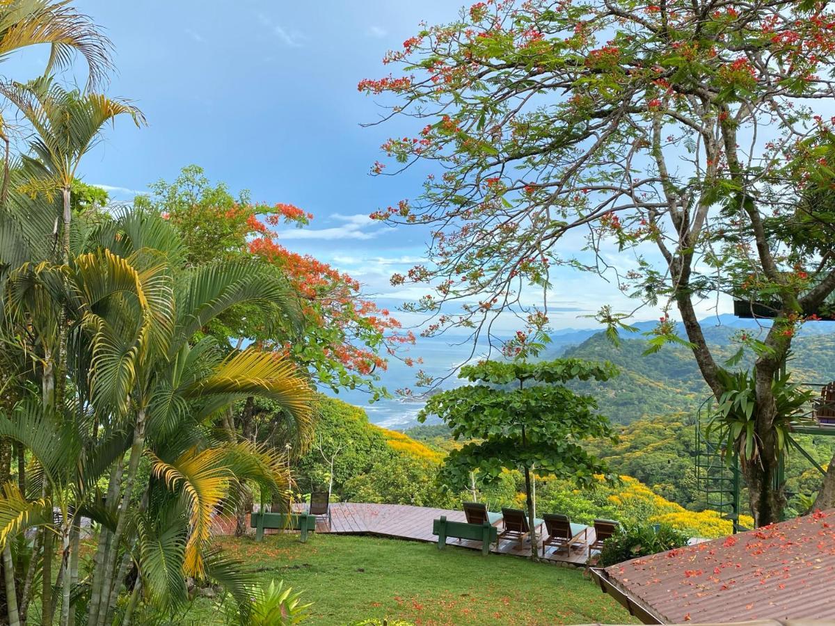 Bed & Breakfast Pacific Edge Eco *