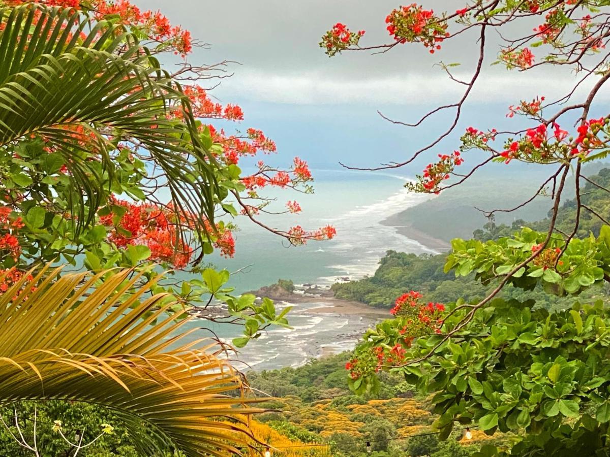 Pacific Edge Eco *
