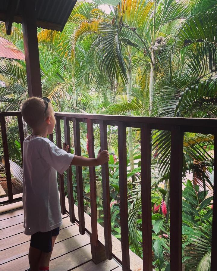 Perla Negra Beachfront Hotel 3*