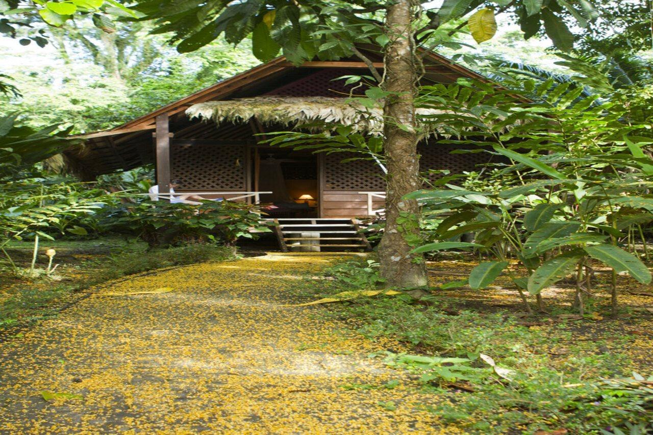 Azania 3* Puerto Viejo de Talamanca
