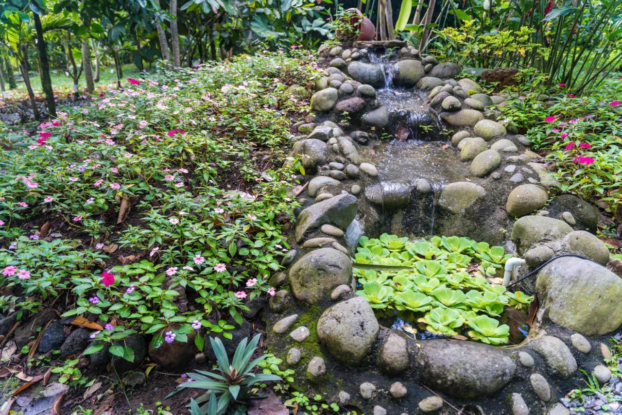 Vista Del Cerro Hotel La Fortuna
