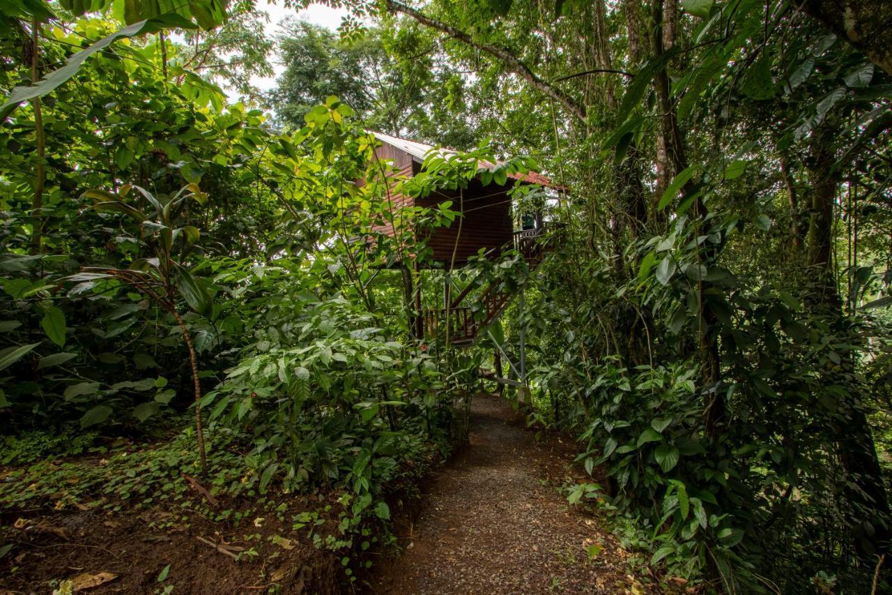 Arenal Rustic * La Fortuna