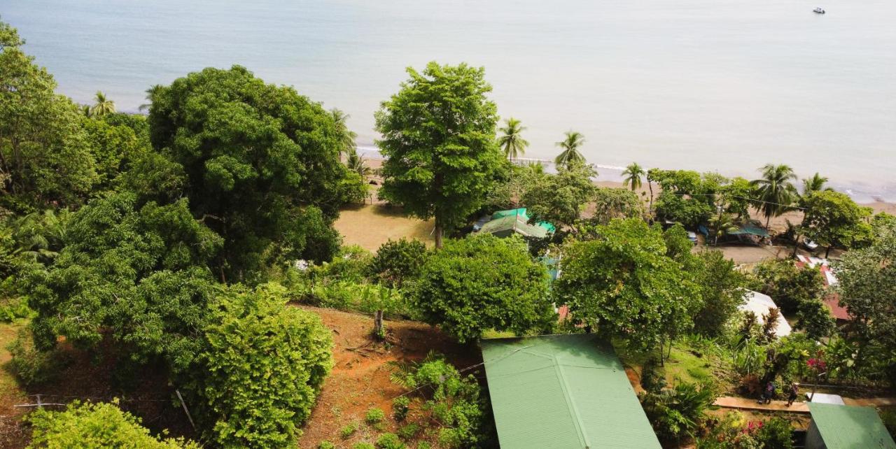 Cabana Ara Macao Lodge Drake Bay