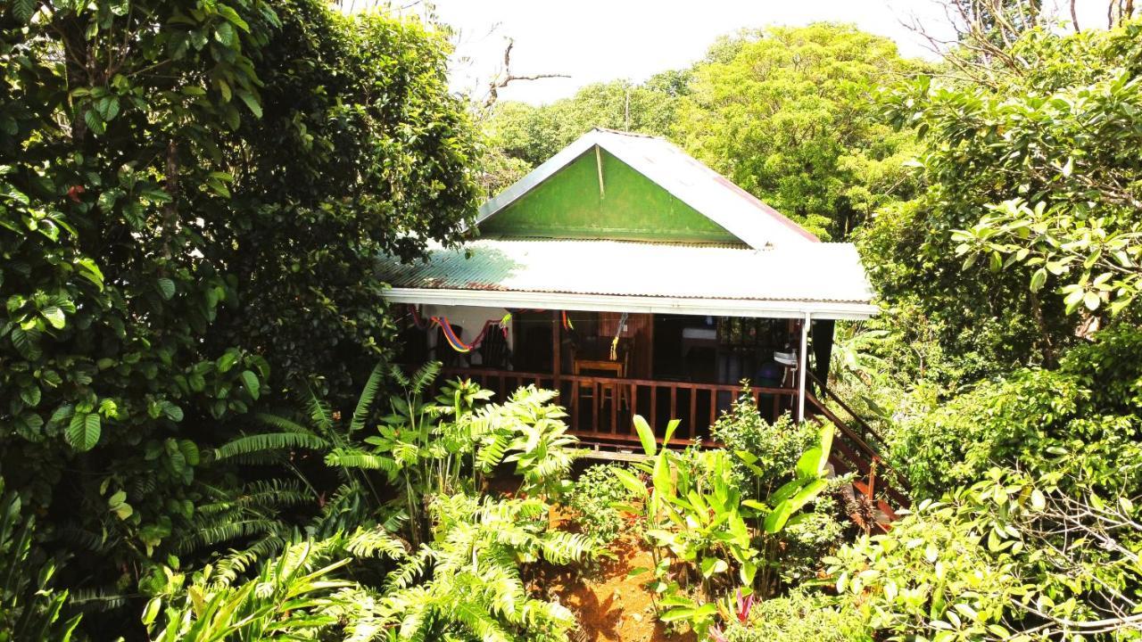 Cabana Ara Macao Drake Bay