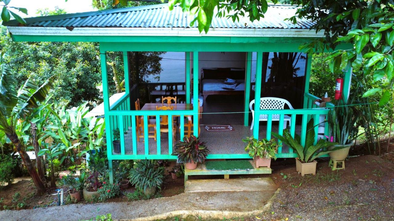 Lodge Cabana Ara Macao Drake Bay