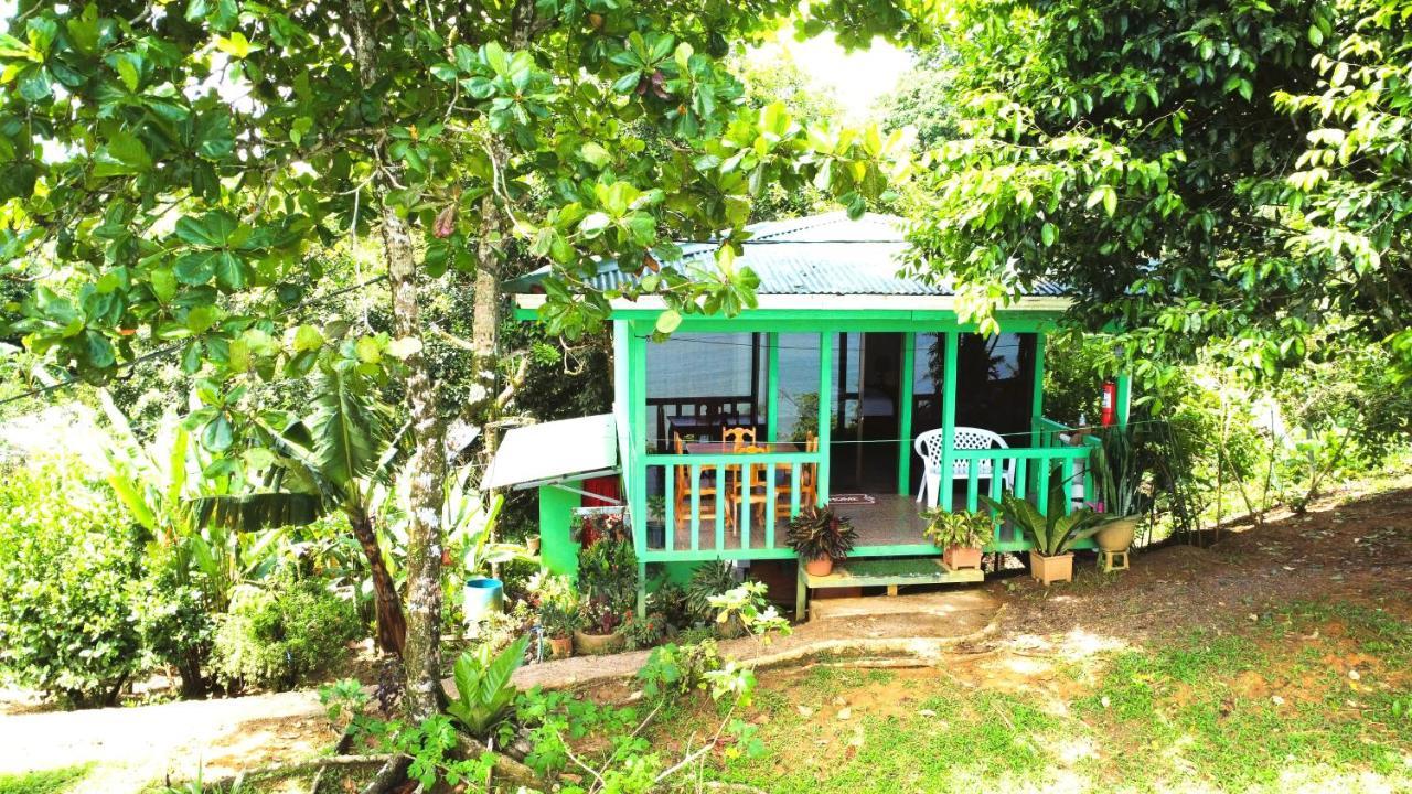 Cabana Ara Macao Lodge