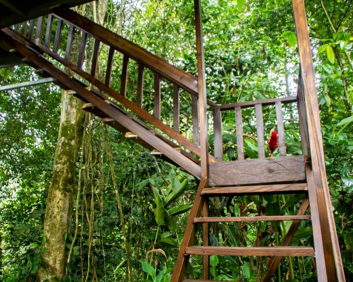 Arenal Rustic La Fortuna