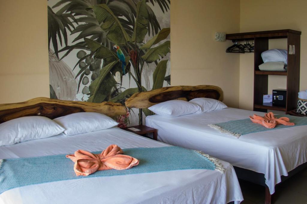 Sunshine Sanctuary Boutique Jungle Montezuma