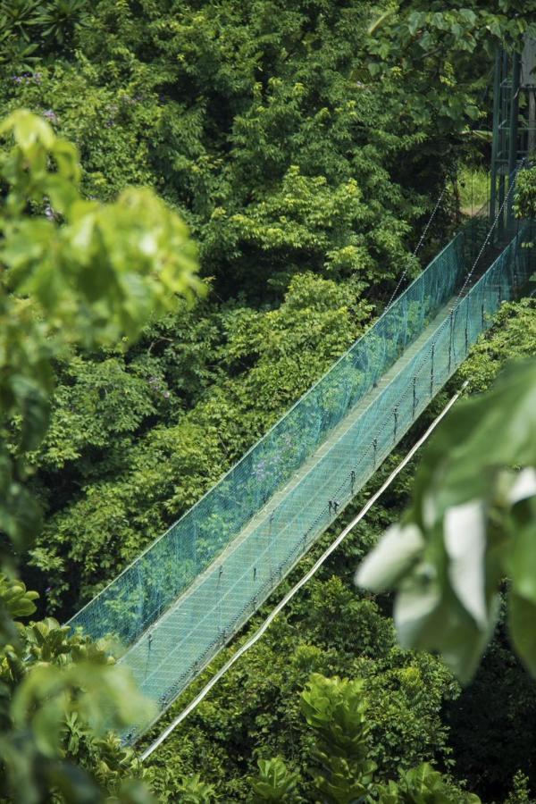 Sunshine Sanctuary Boutique Jungle Montezuma