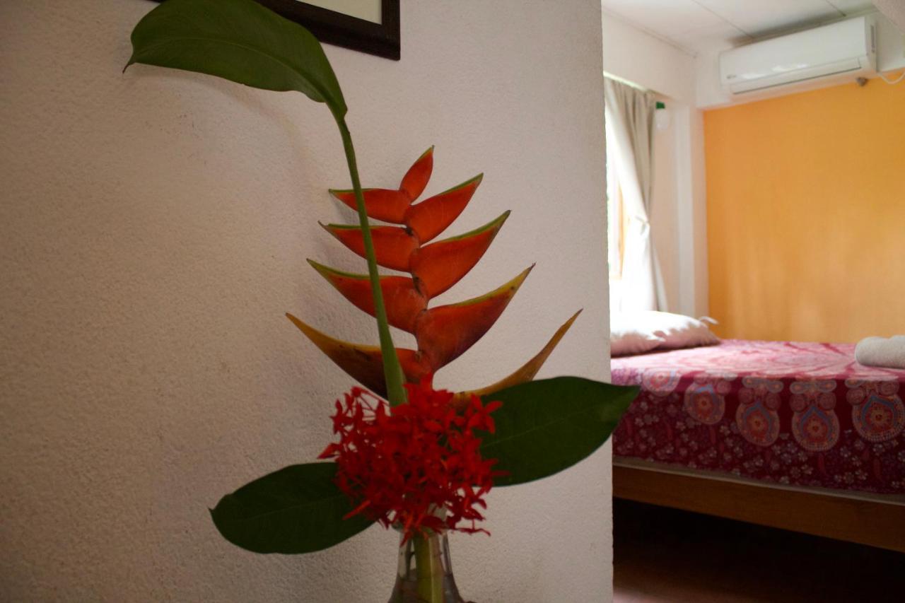 Hotel Tajalin 2*