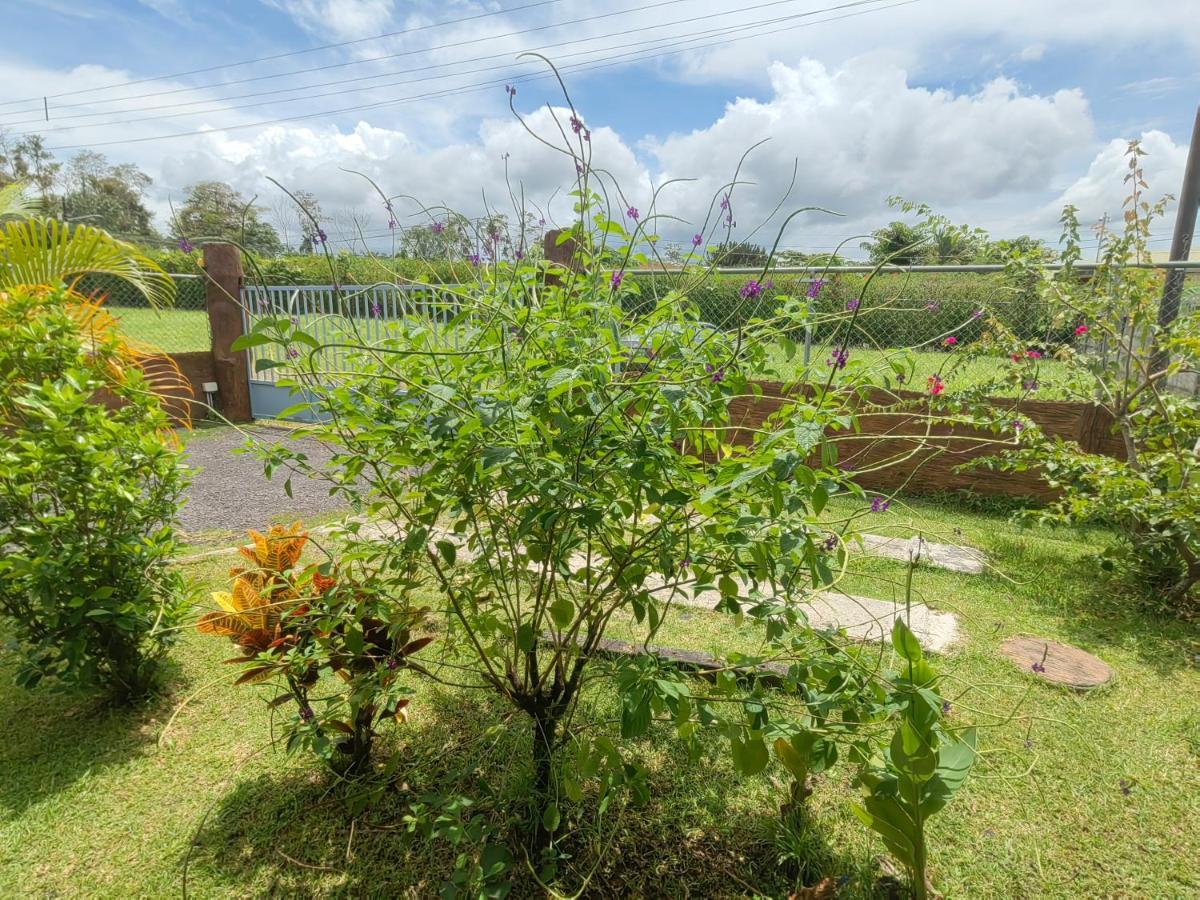 Arenal Homes Apartment *