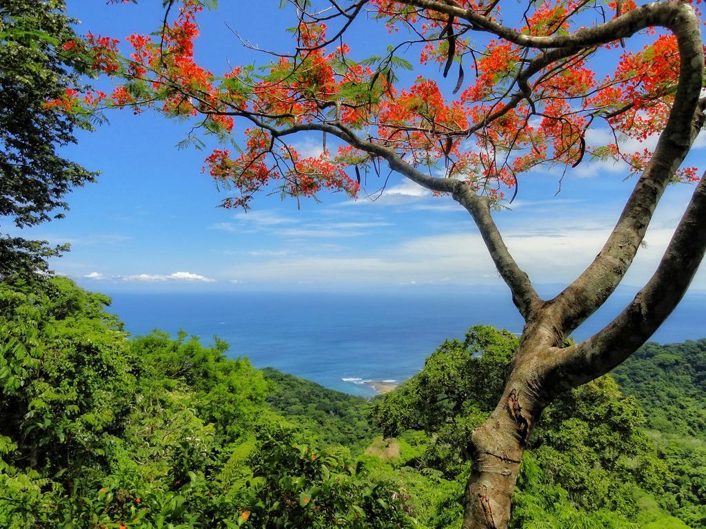 Caletas Hotel Jaco