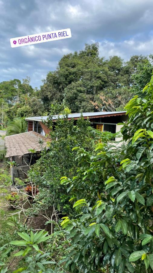 Organico Punta Riel Guest house Cahuita