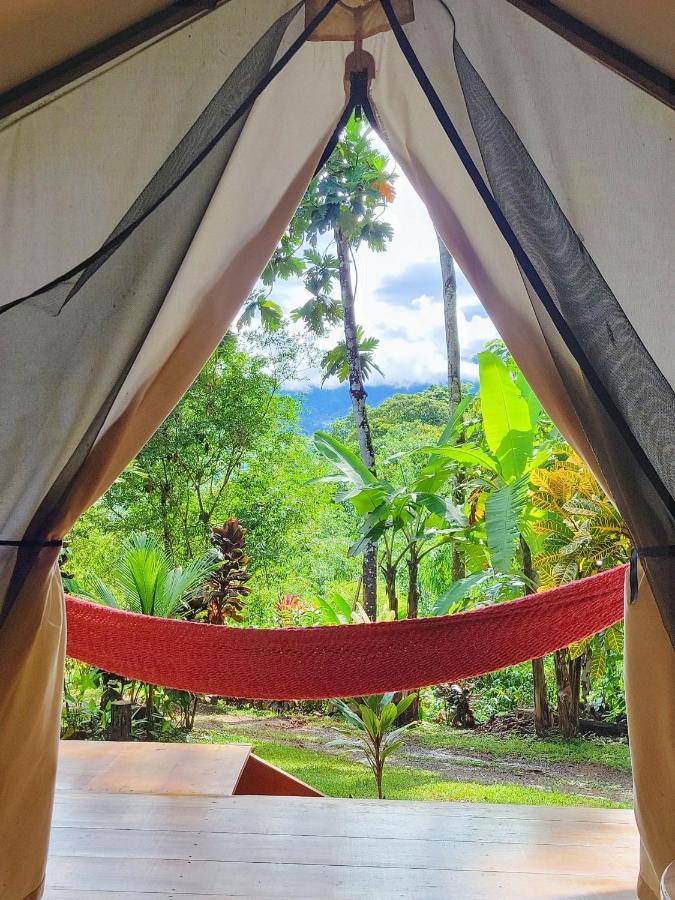 Lodge Cascada Elysiana *
