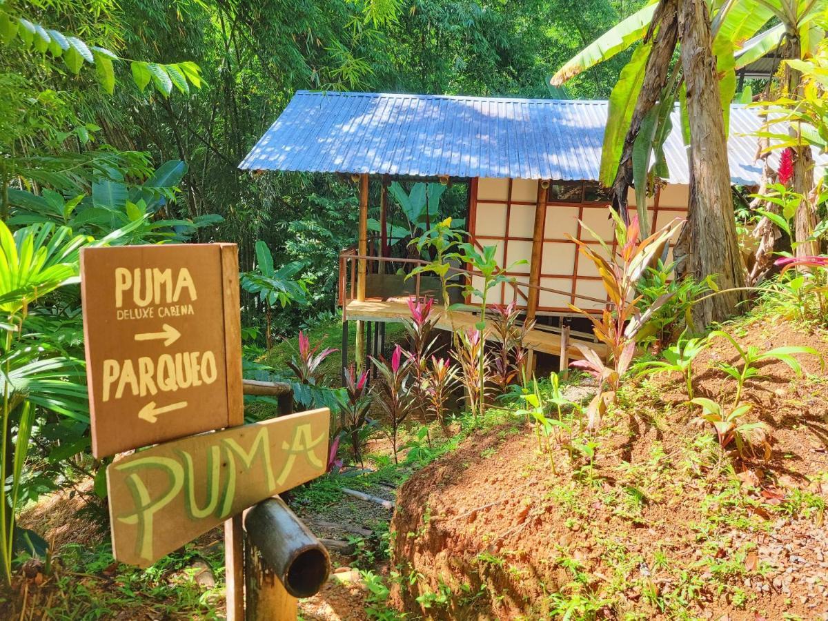 Lodge Cascada Elysiana *