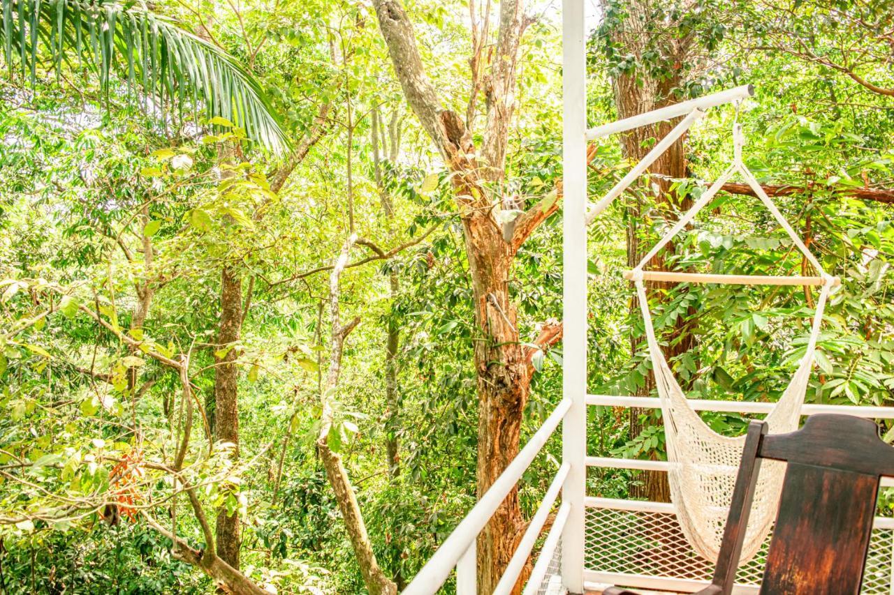Holiday home Casa Valentina - Ocean, Nature, Relax, Central *